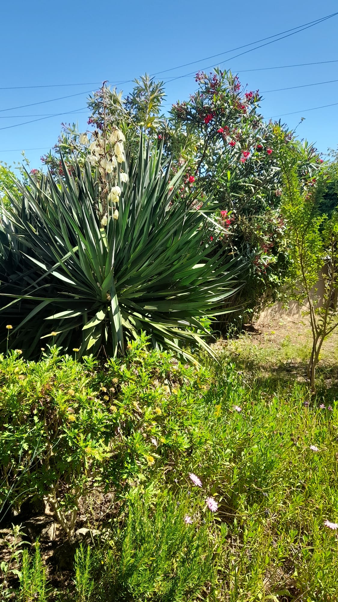 Fachada da moradia